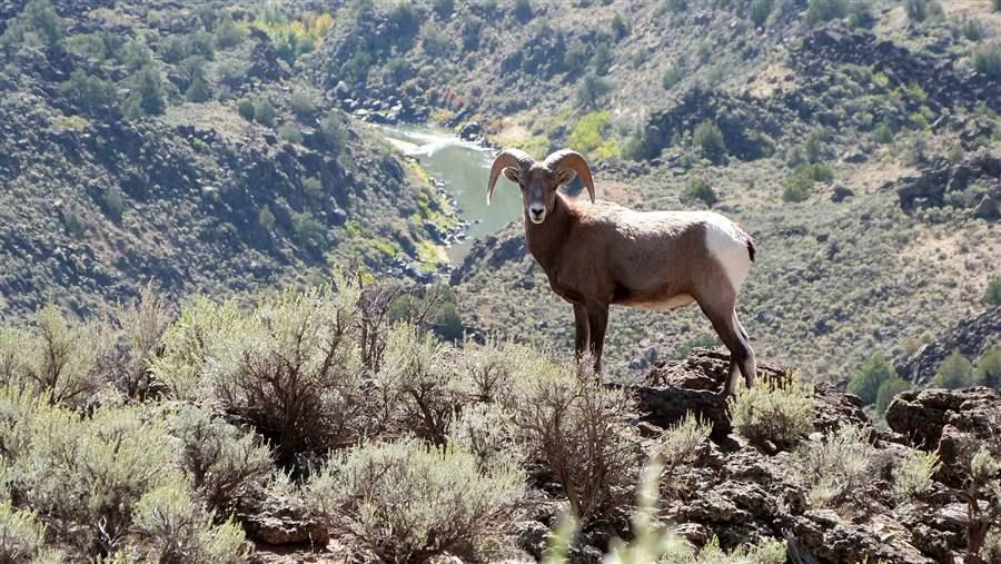 Río Grande del Norte National Monument 5