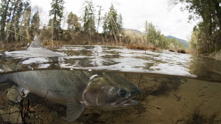 Steamboat Creek