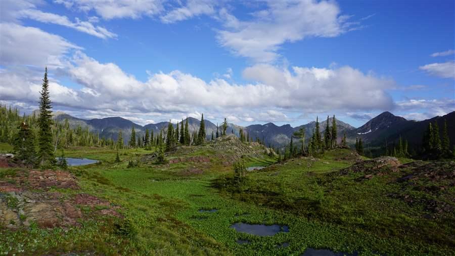 Montana Wilderness