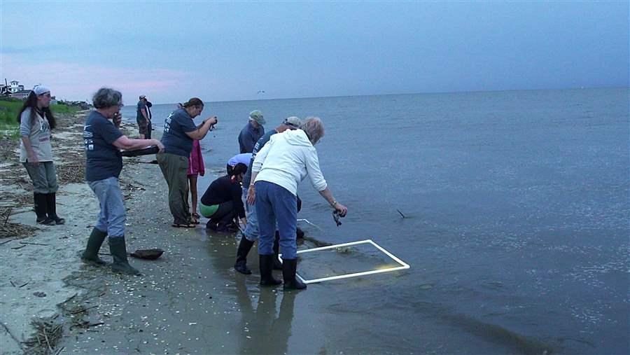 Citizen scientists