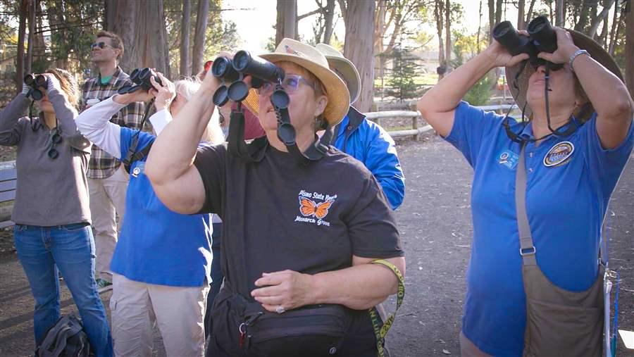 Birdwatchers