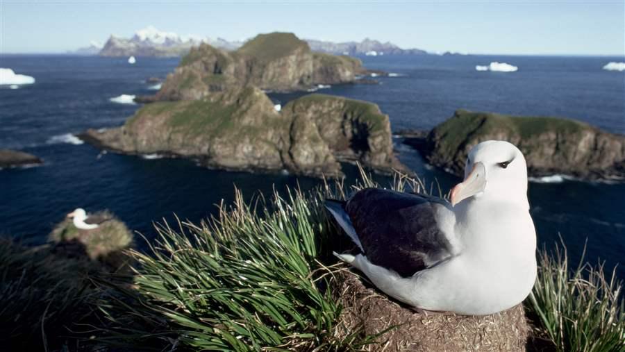 Marine protected areas in the Southern Ocean