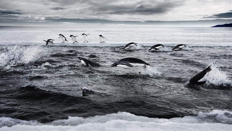 Marine protected areas in the Southern Ocean