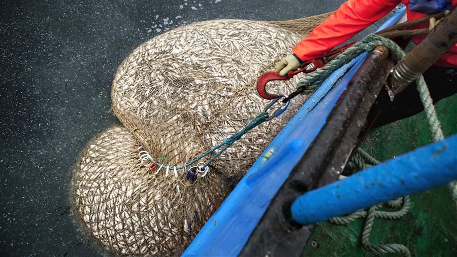 Overfishing in Europe