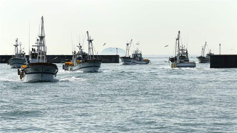 Fishing boats