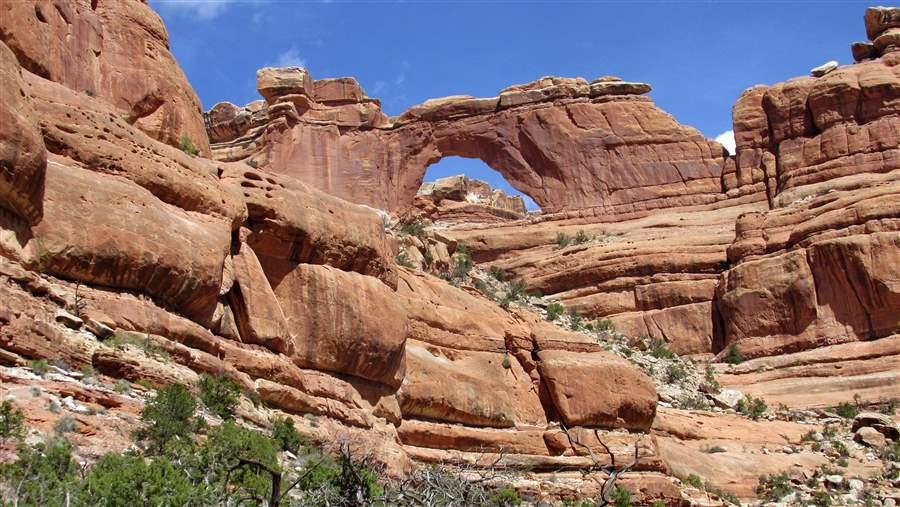 Bears Ears