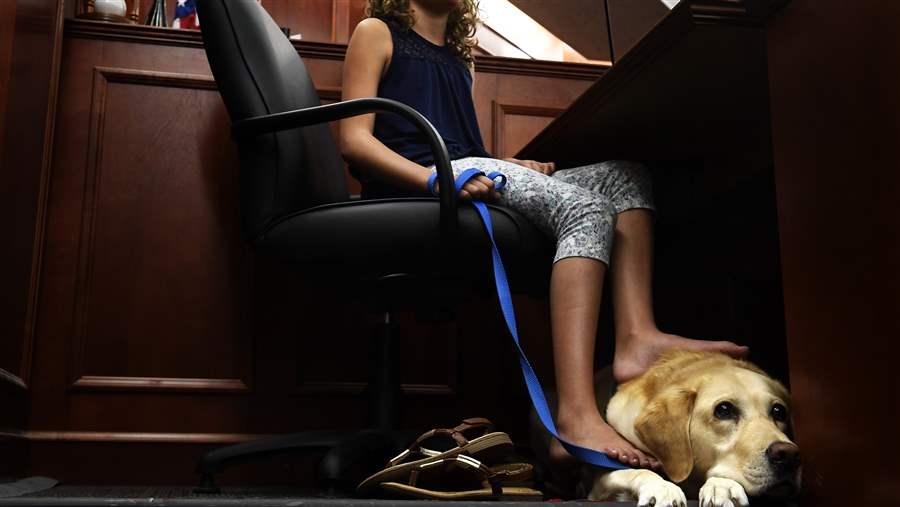 Court dog