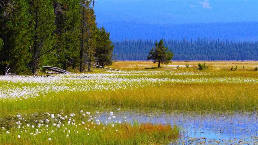 Cascade-Siskiyou National Monument