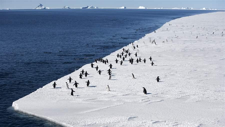 Marine Protected Areas in the Southern Ocean