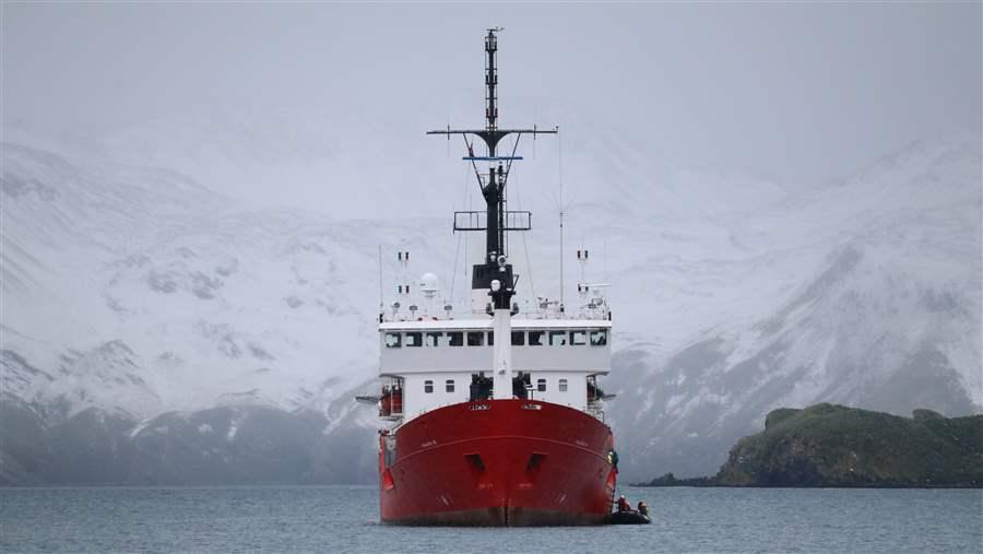 Wildlife in South Georgia and the South Sandwich Islands