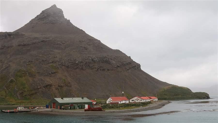 Wildlife in South Georgia and the South Sandwich Islands