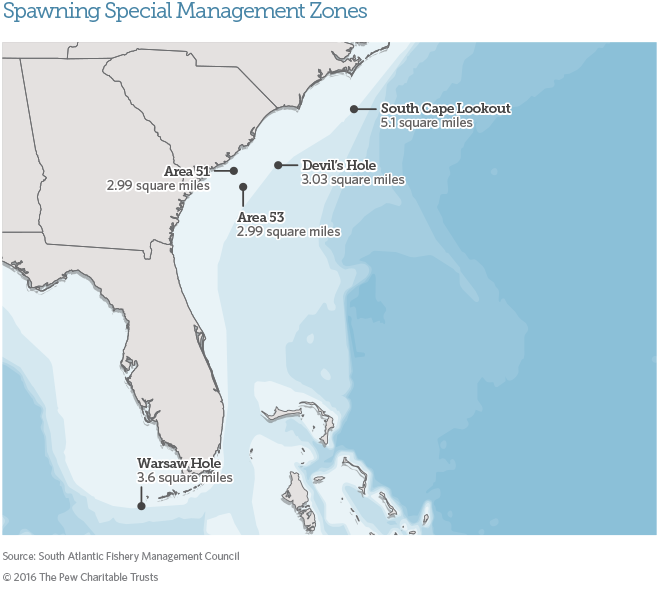 South Atlantic spawning havens