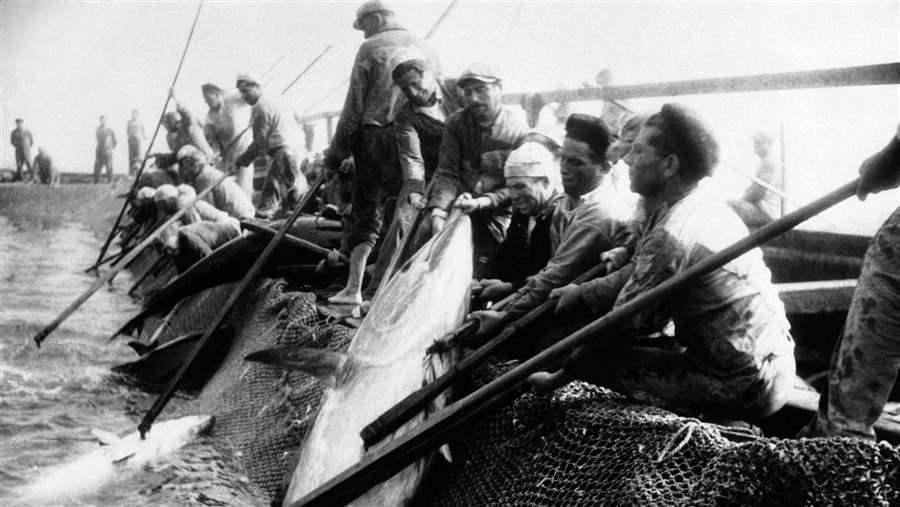 Sicilian fishermen