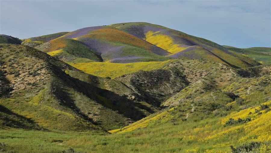 Carrizo Plain