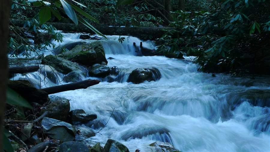 Sampson Mountain Creek