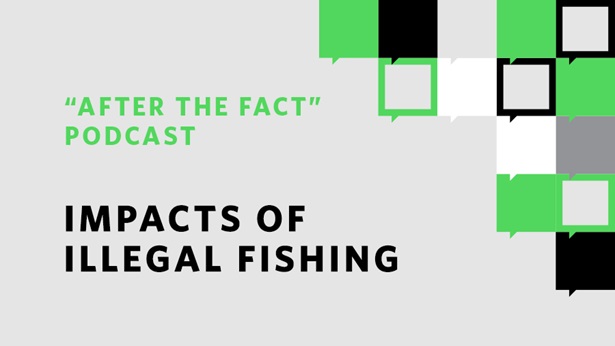 Illegal fishing