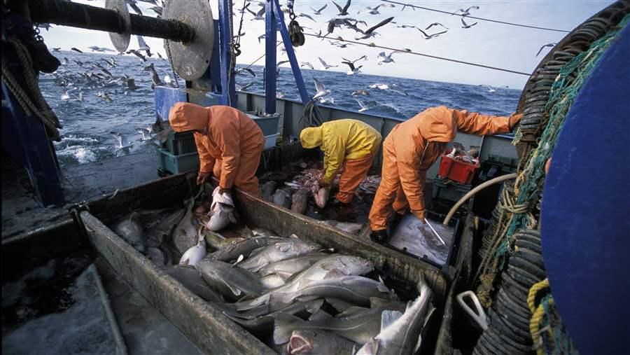 Overfishing in U.S. waters