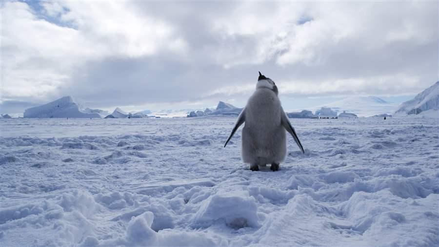 Southern Ocean