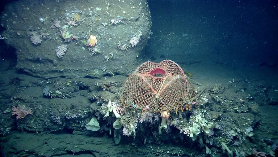 Northeast Canyons and Seamounts Marine National Monument