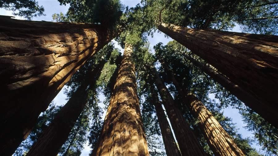 Sequoia and Kings Canyon