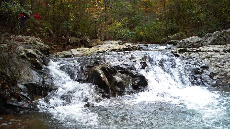 Arkansas wilderness