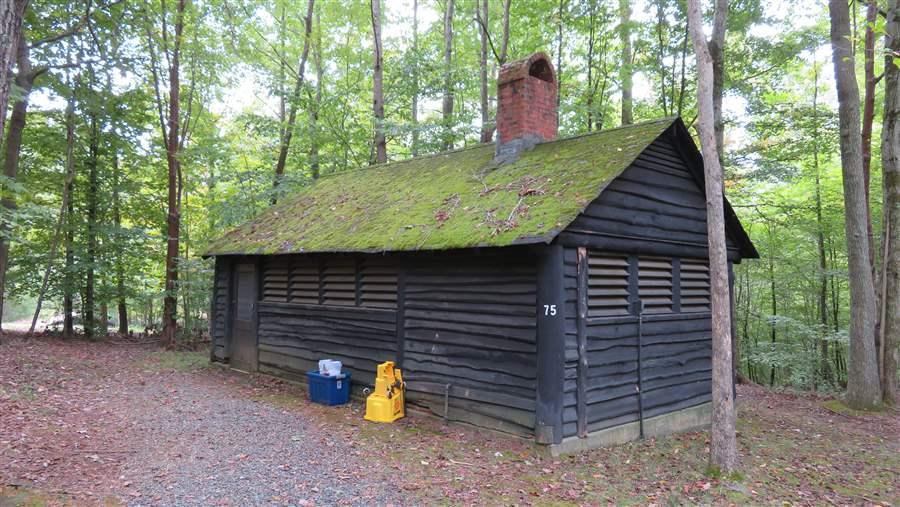 Prince William Forest Park maintenance