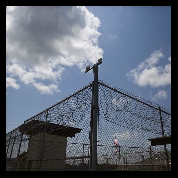 Felony conviction rates Felony conviction rates