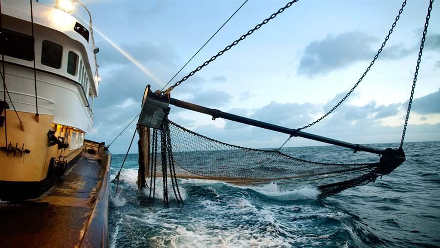 European overfishing