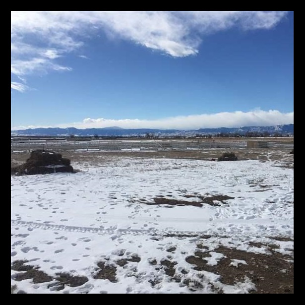 Stateline Feb5 Stateline Feb5
