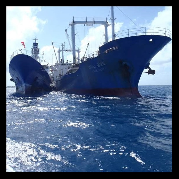 Tuna ship