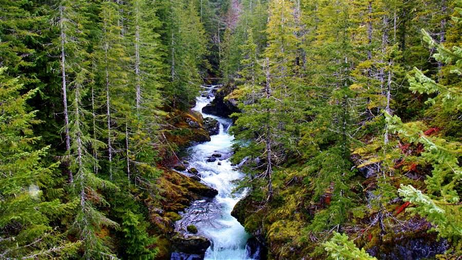 The Olympic Peninsula 