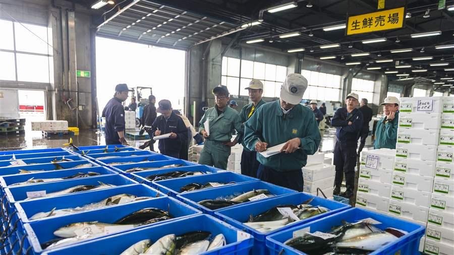 Hakkodate Fish Market