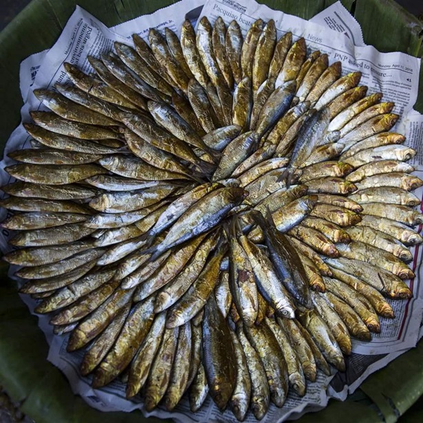 Fish market Fish market
