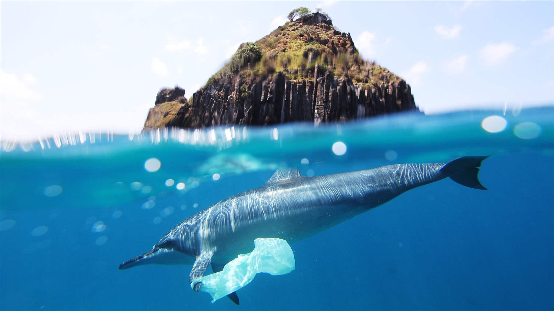 plastic bags ocean