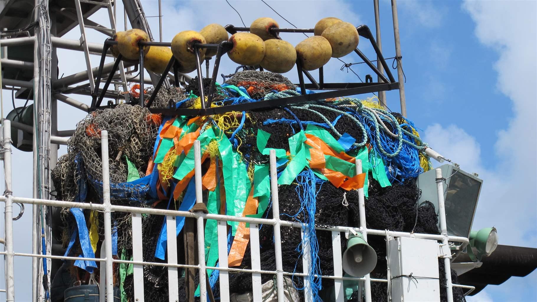 Stronger Rules Needed for Widely-Used Tuna Fishing Gear in Pacific