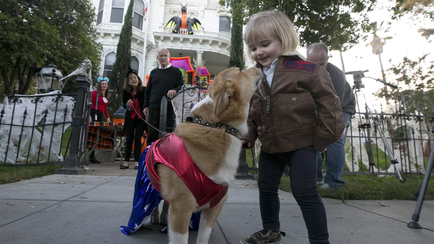 Superdog Superdog