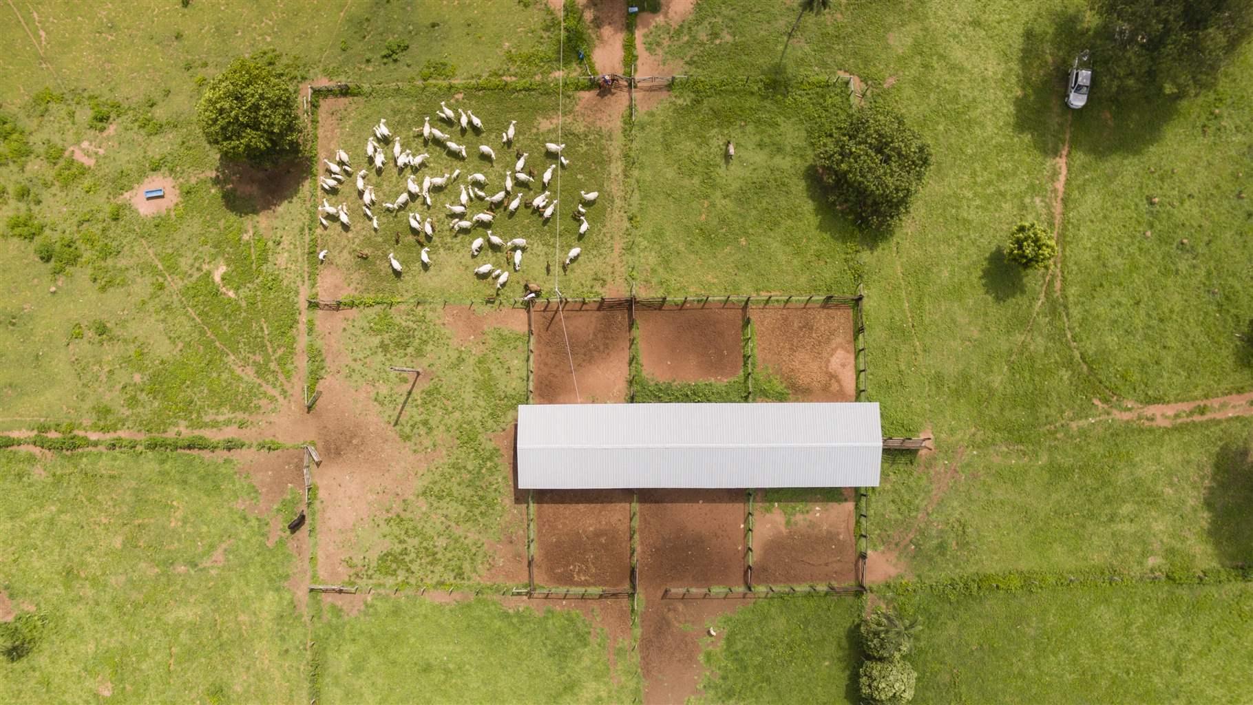 Farm aerial view