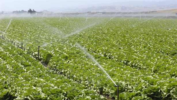 Crop watering