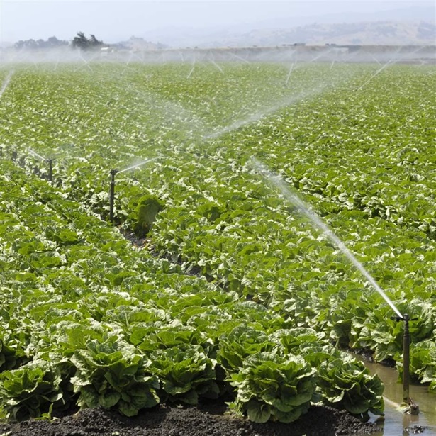 Crop watering
