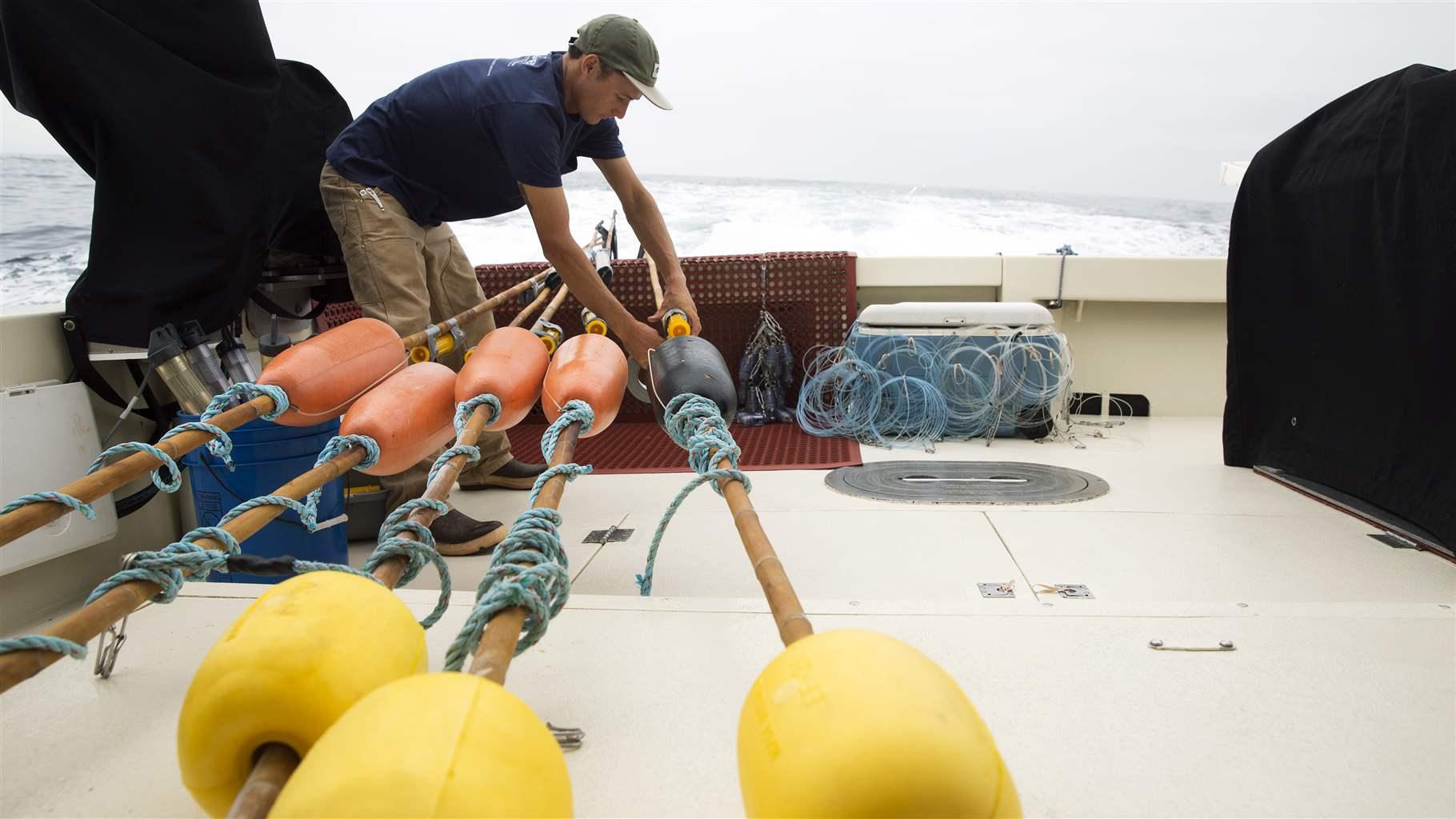 deep-set buoy gear