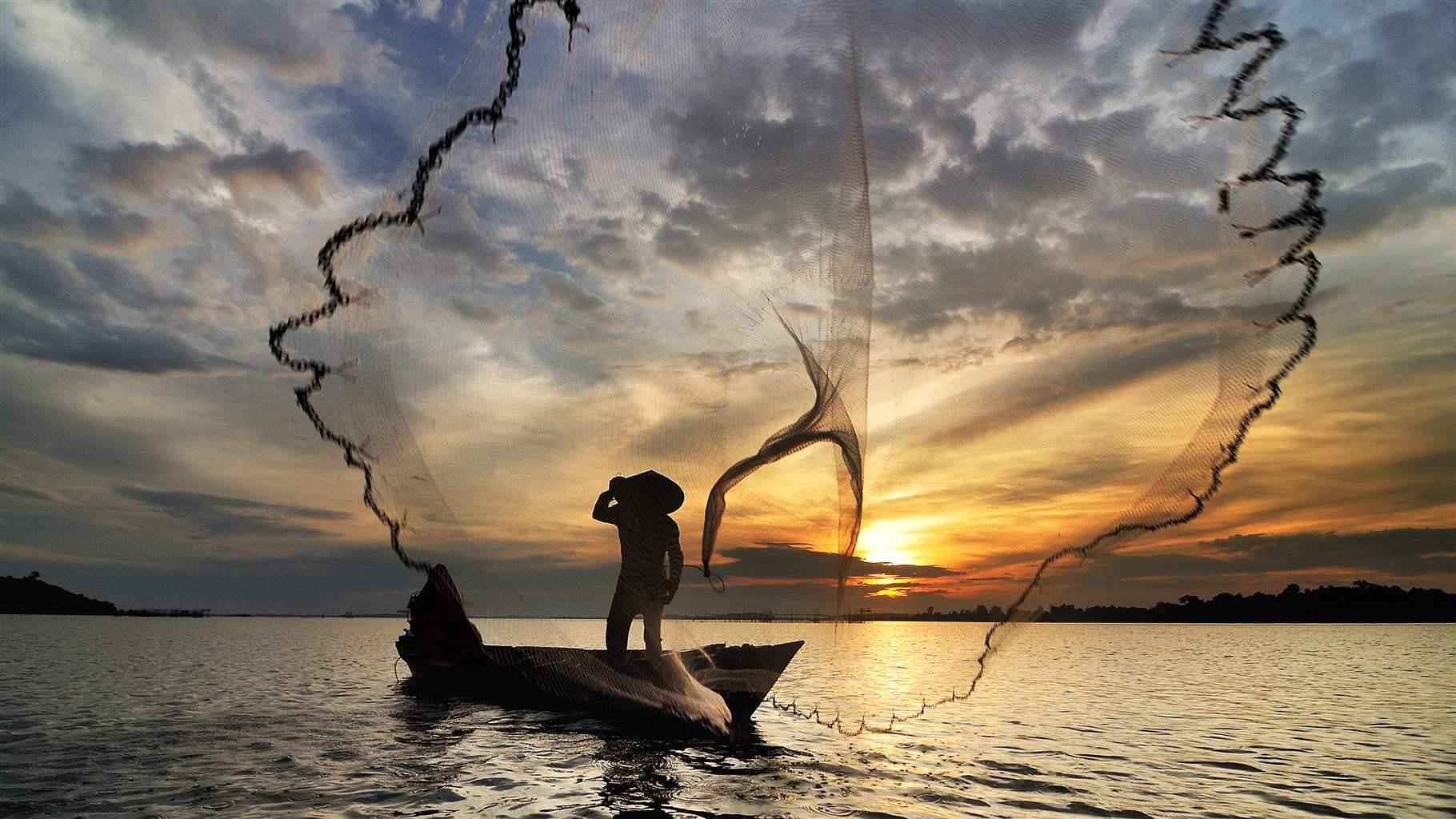 Fisheries images on sale