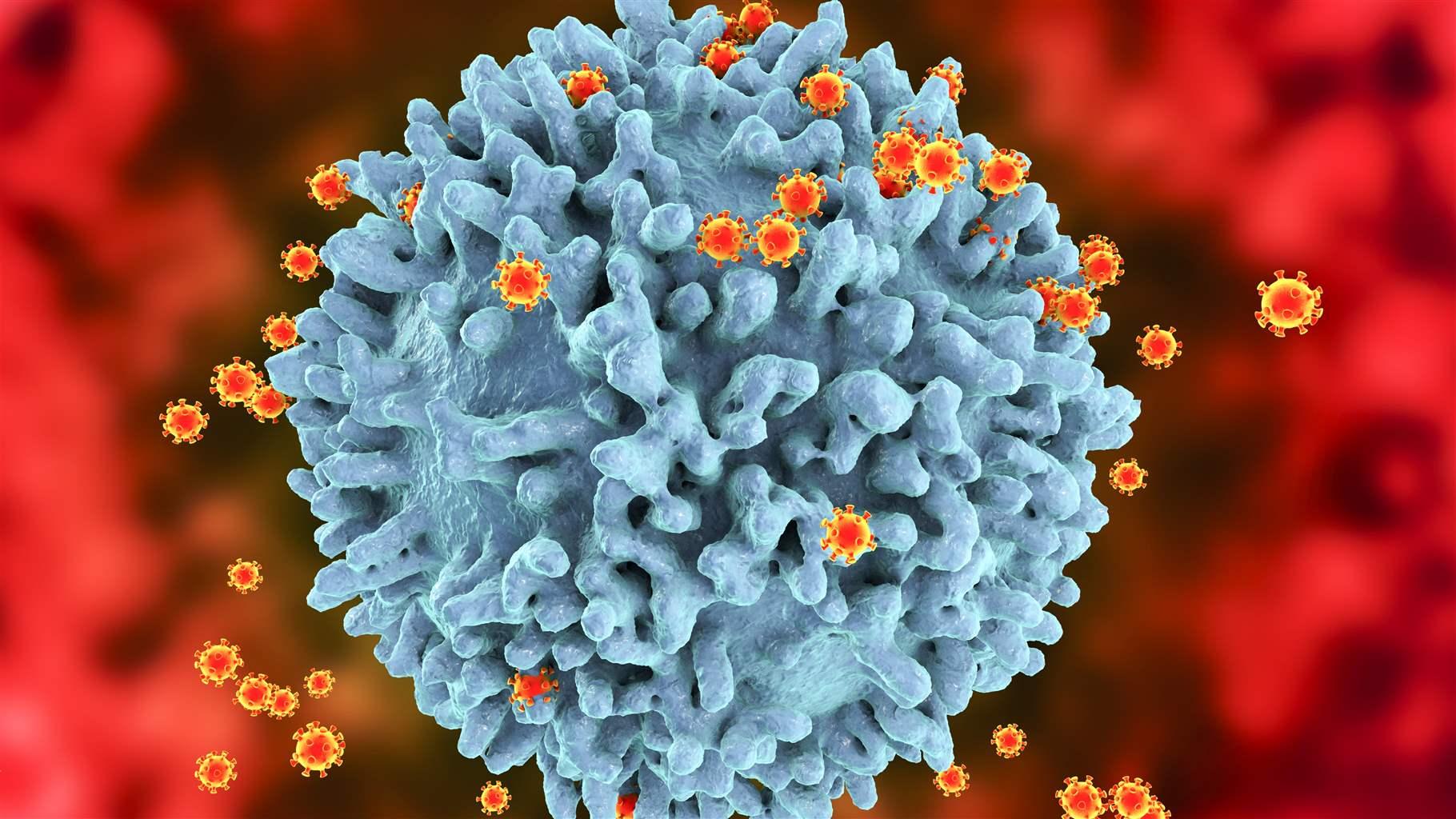 HIV virus