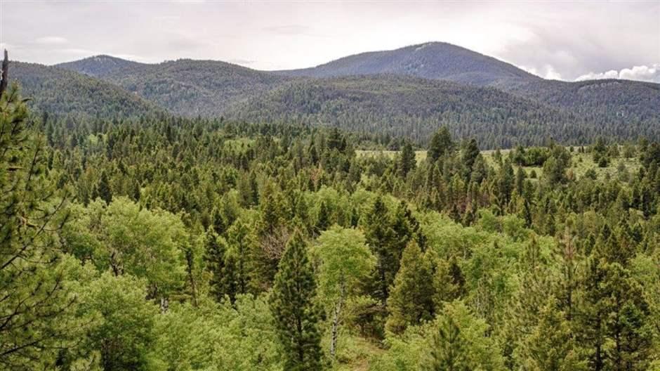 Hoodoo Mountain area