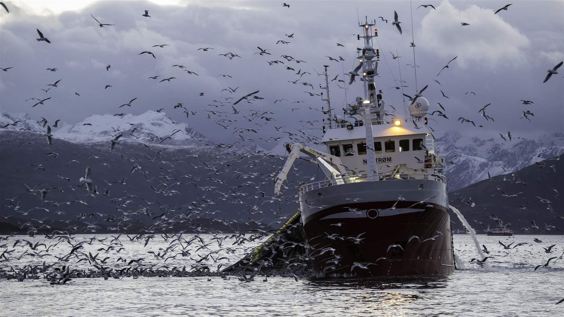 Flagship Treaty Will Improve Safety at Sea in Notoriously Dangerous Fishing  Industry