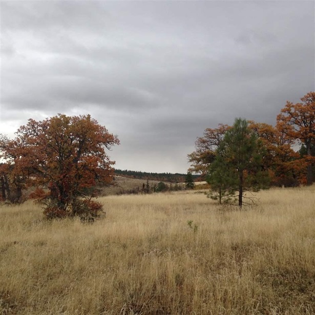 Stateline Nov20 Stateline Nov20