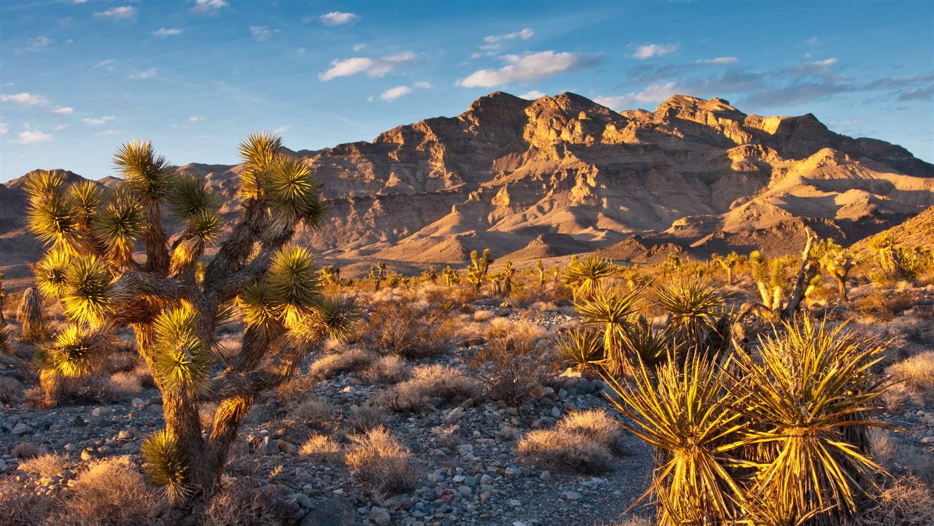 Nevada Wildlife Refuge Would Gain Wilderness Status Under ...