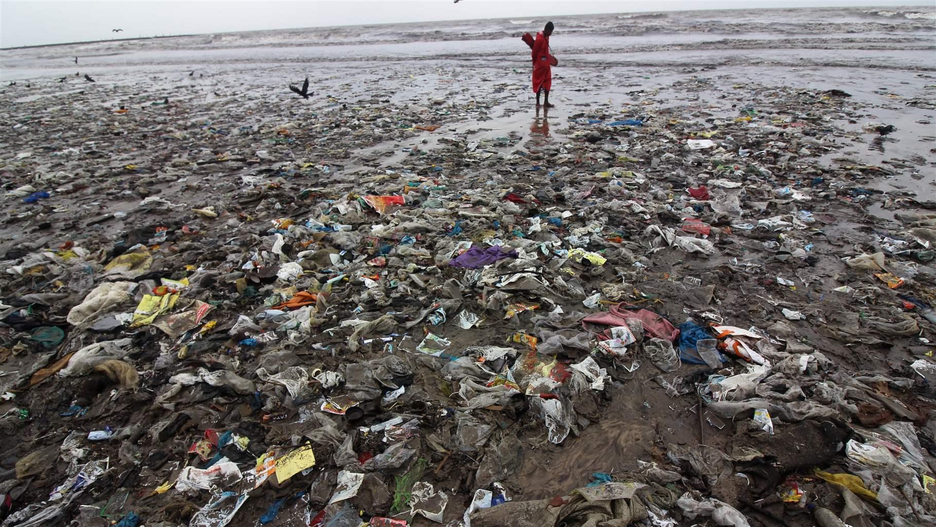 The Impact of Plastic in the Ocean & How You Can Help