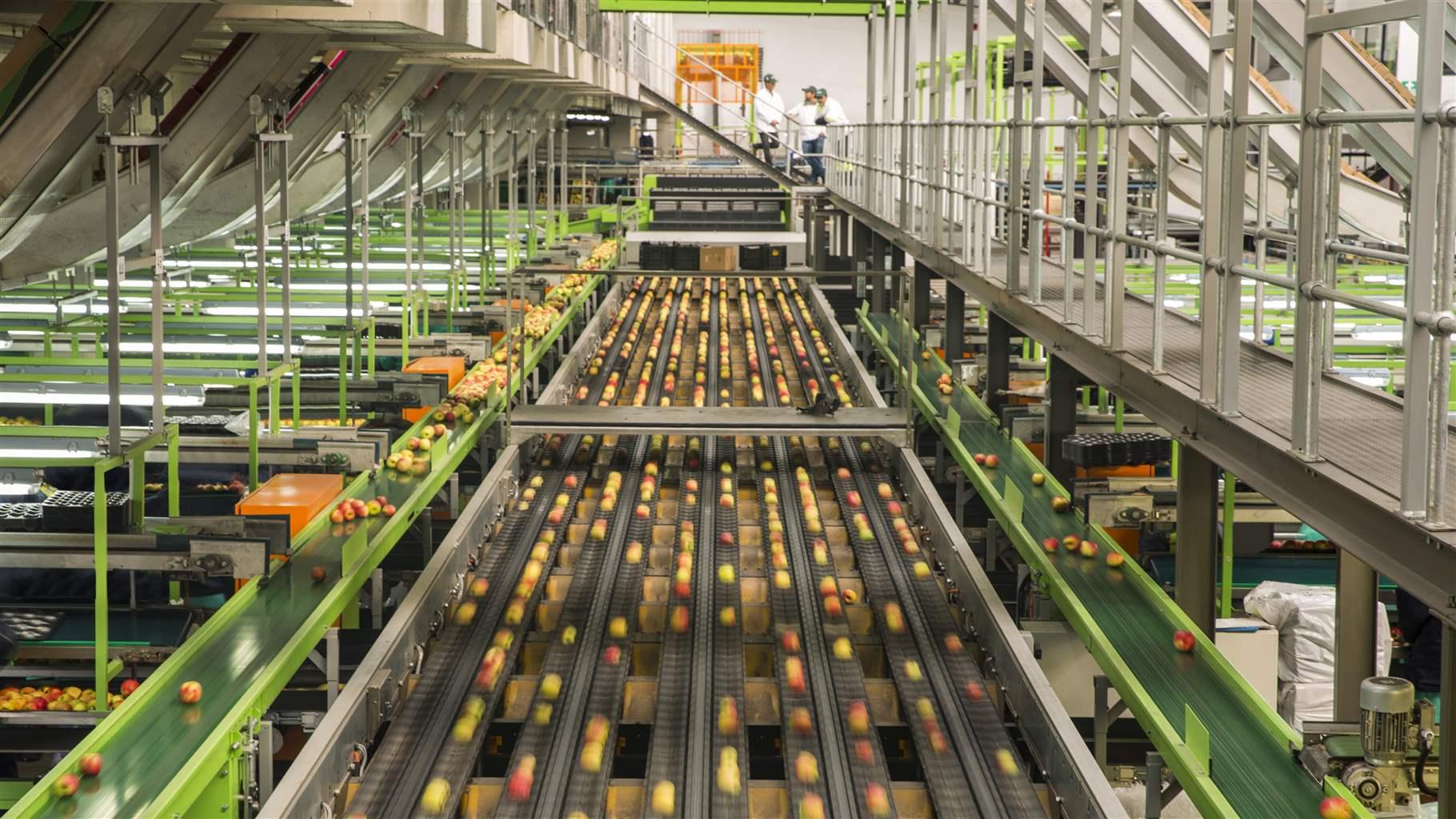 Contamination Challenges for Fruit and Vegetable Processors