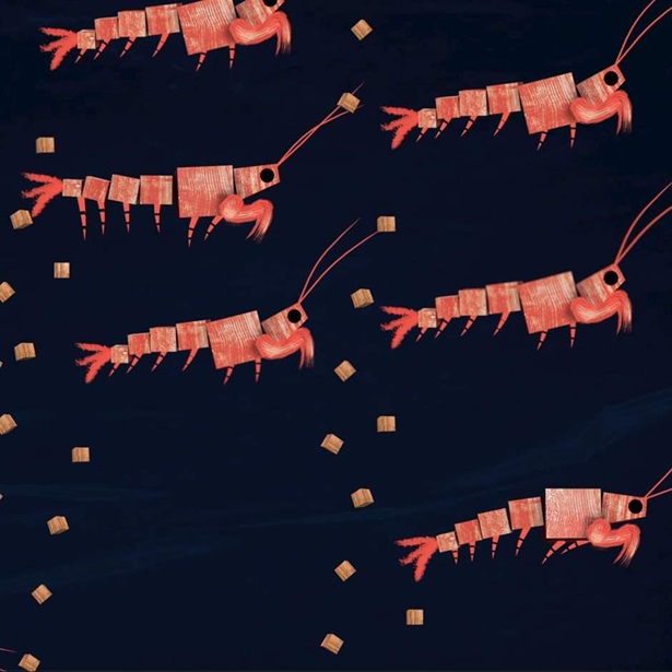 Krill animation
