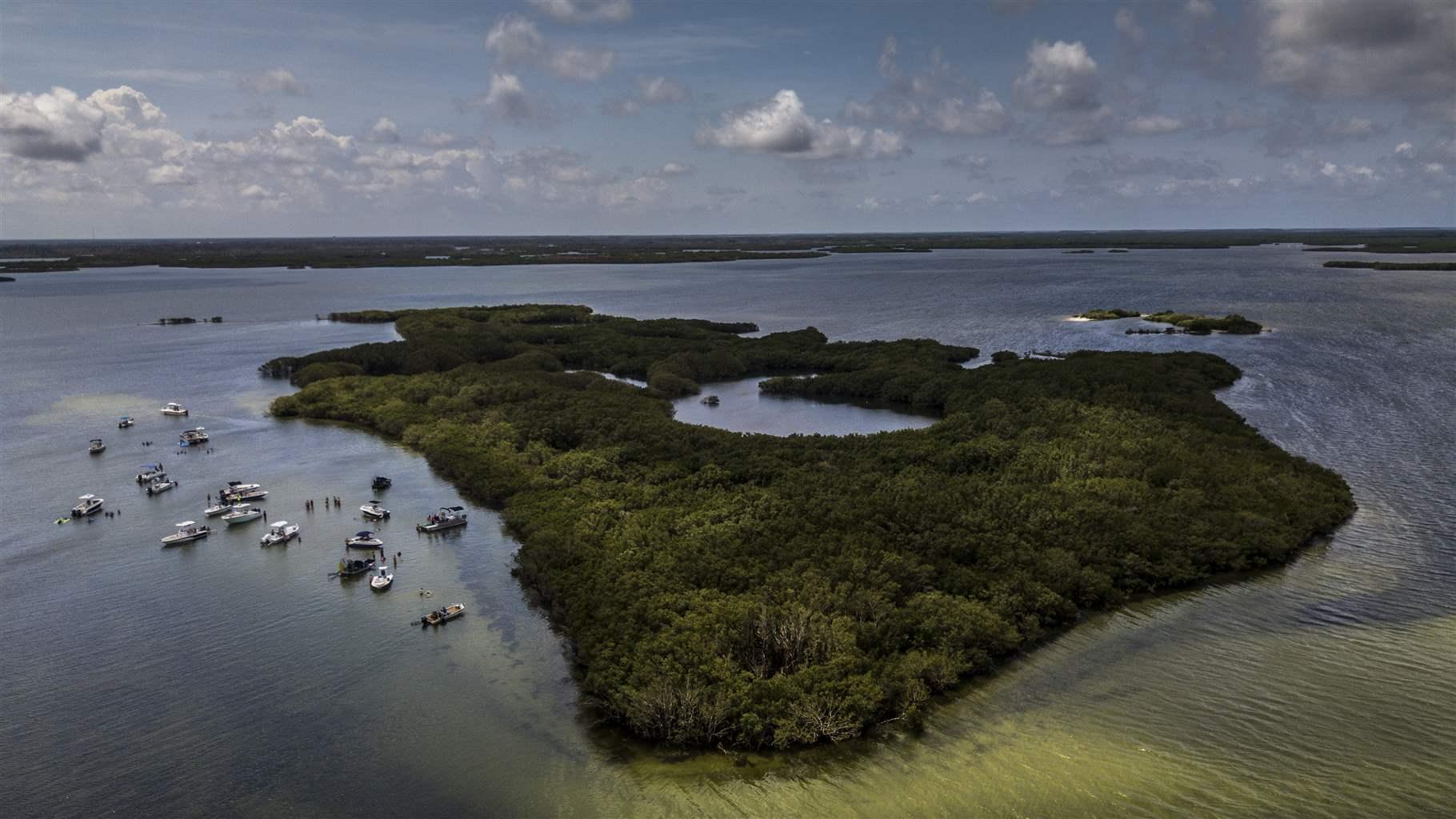 Florida Poised to Protect Gulf of Mexico's Largest Seagrass Bed - The Pew Charitable Trusts